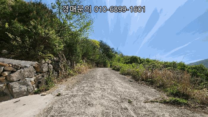  경남 고성 대가면 갈천리 산275, 천년 역사와 자연의 숨결이 깃든 배산임수 명당 임야 경매로 투자 가치를 높이세요! 2025타경389