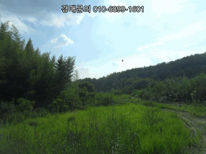  경남 창녕 영산면 서리 대규모 토지 경매! 상업용 건부지 개발 잠재력과 뛰어난 도로 접근성을 갖춘 절호의 투자 기회 2024타경2918