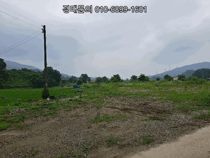  충북 음성군 음성읍 한벌리, 광활한 토지 경매로 투자 포텐 터트릴 절호의 기회! 2025-1340
