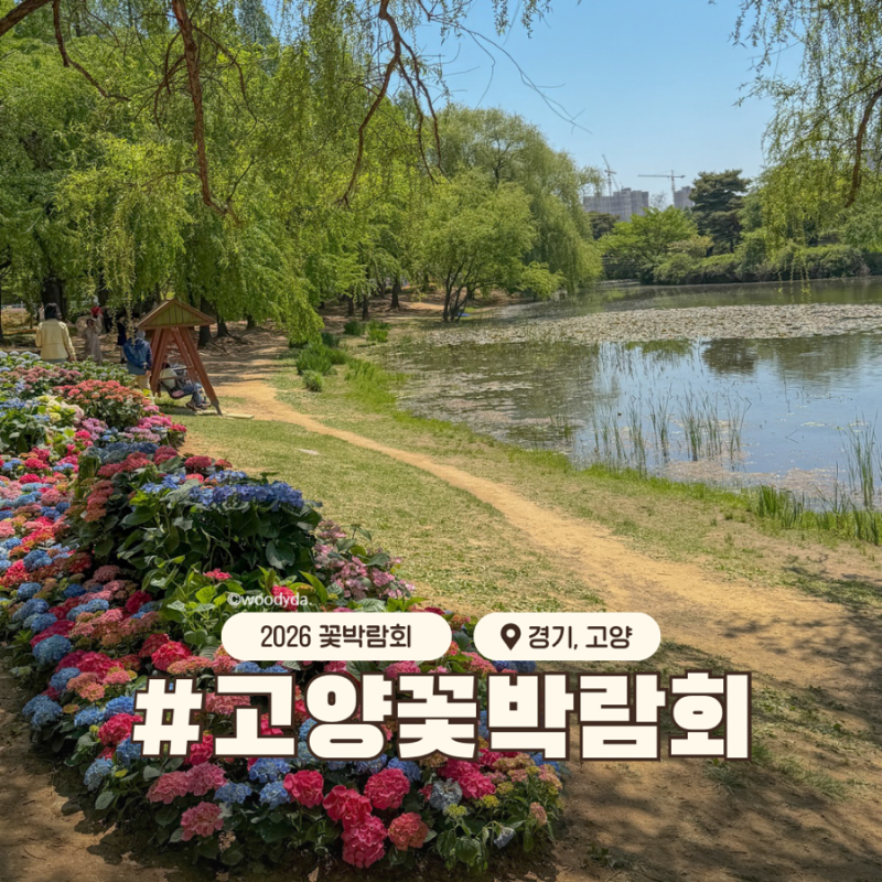 고양꽃박람회 2026 포토존 개화상황 동선 총정리
