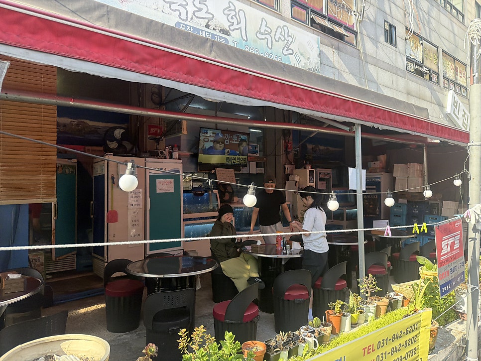 독도회수산 고암점 사진 2