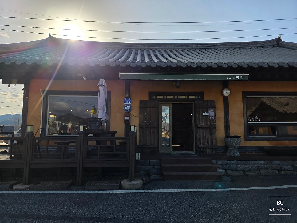 달꽃 사진 2