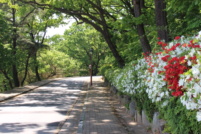사진 7