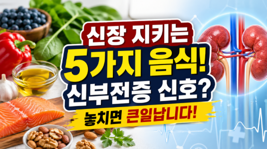 신장에 좋은 음식 5가지, 매일 먹던 게 문제였을 수도 있는 이유 + 신부전증 증상 정리