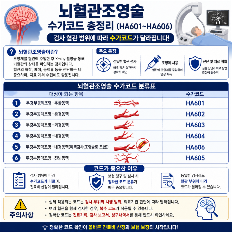 뇌혈관 조영술 쉽게 이해하기｜혈관 이름부터 코드까지 한 번에