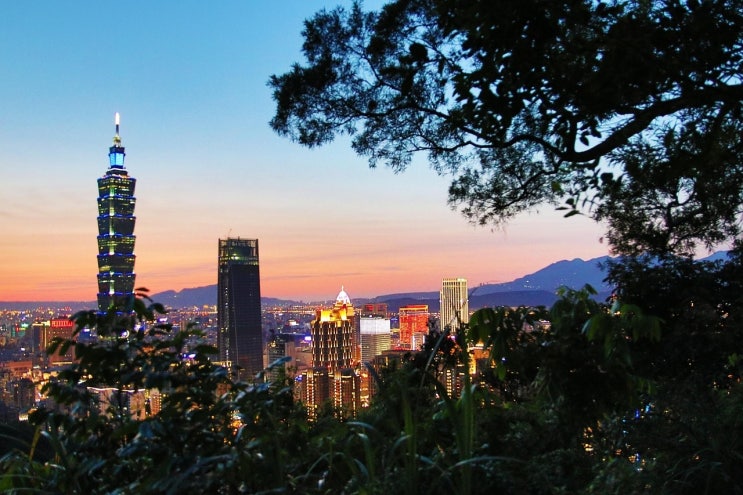  타이베이 101 전망대 티켓 종류별 입장권 비교 및 꿀팁