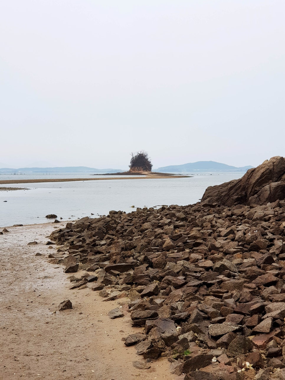 야광주도 사진 2
