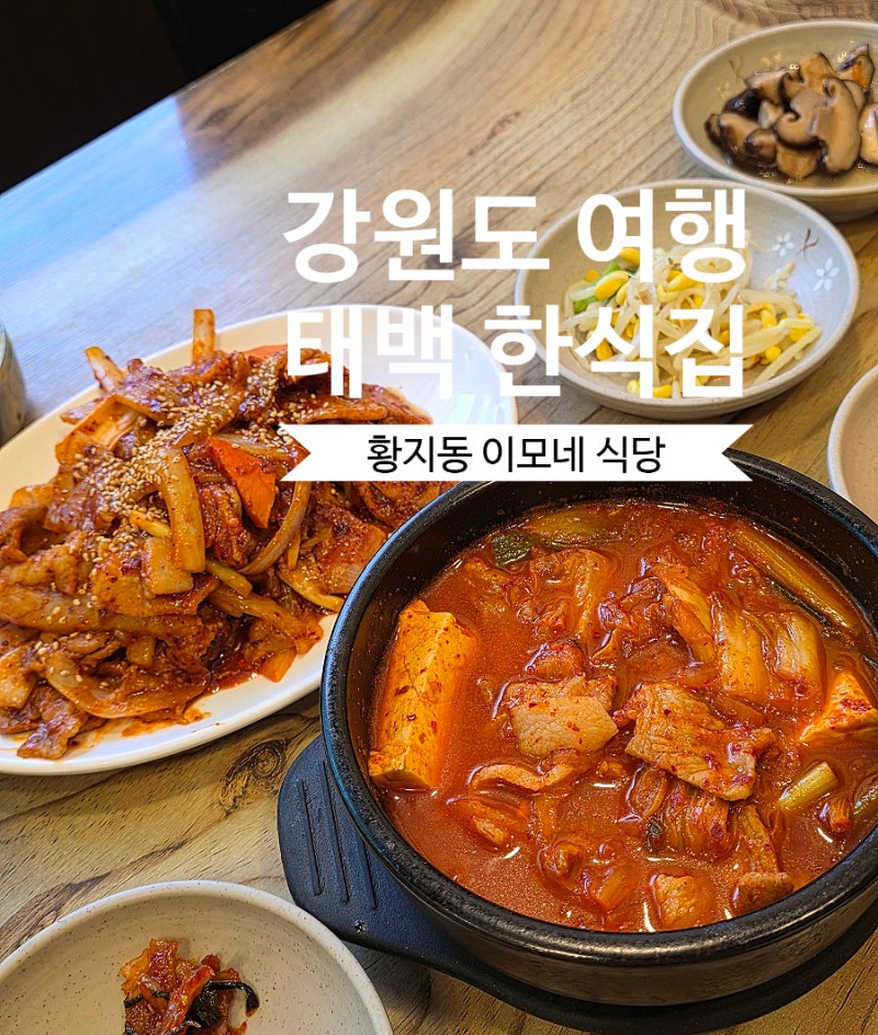 강원도 태백역 아침식사 맛집 이모네 식당 제육볶음 김치찌개 솔직 후기