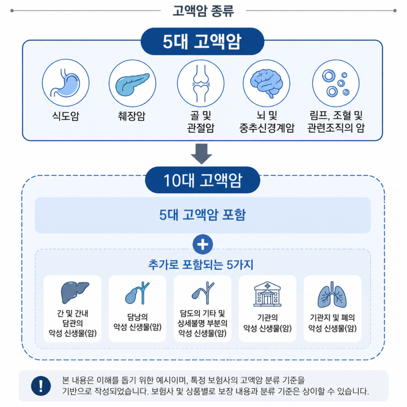 고액 암종류 왜 따로 나눌까? 보험사 기준 5대·10대 고액 암 종류 총정리