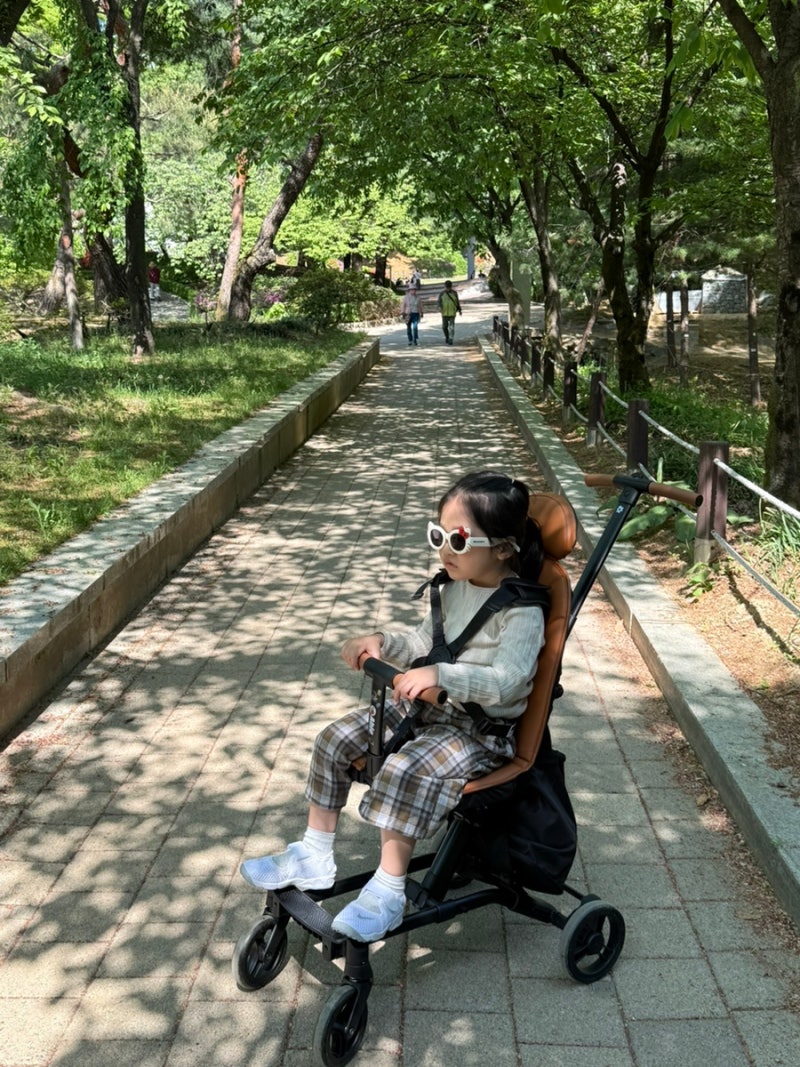 씨투엠뉴 에이블 유모카플러스 트라이크 (내돈내산 일본 여행 기내반입 4살 후기)