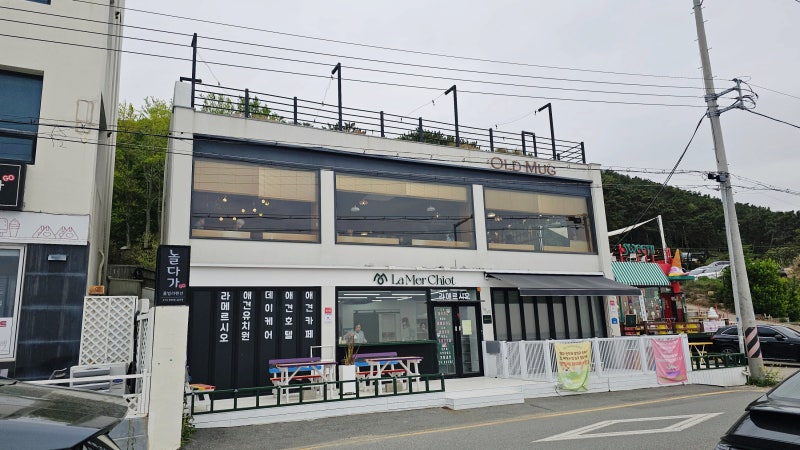 사진 2