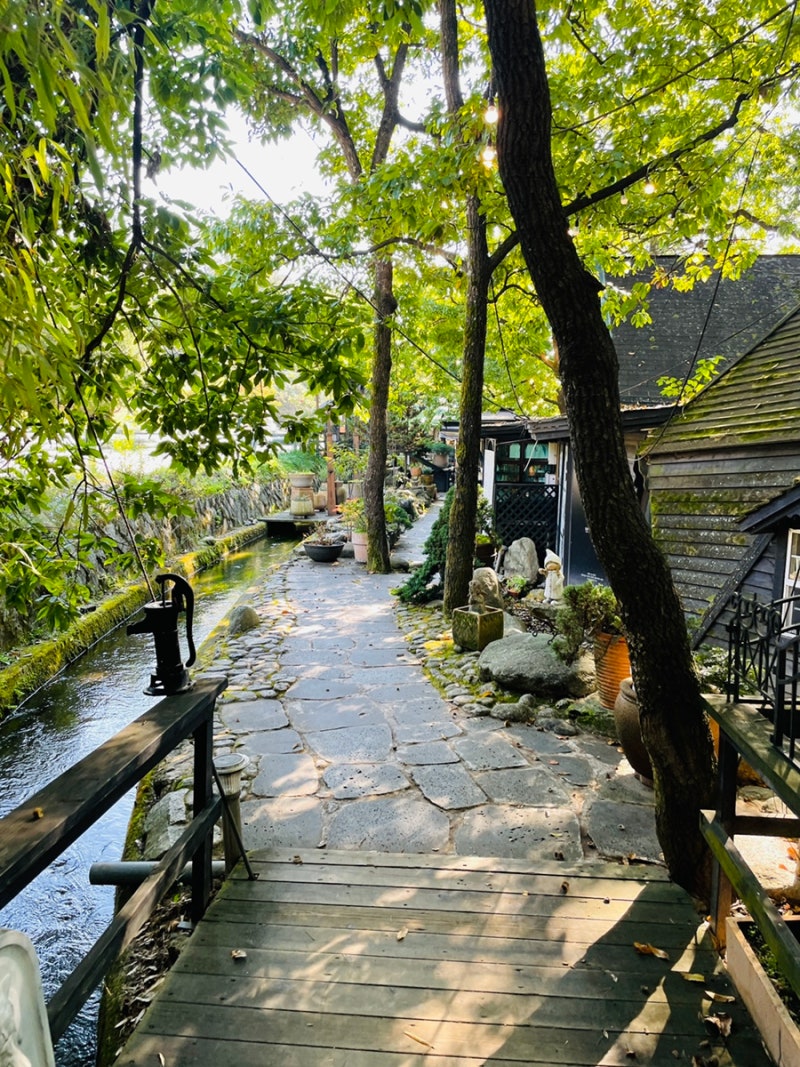 사진 8