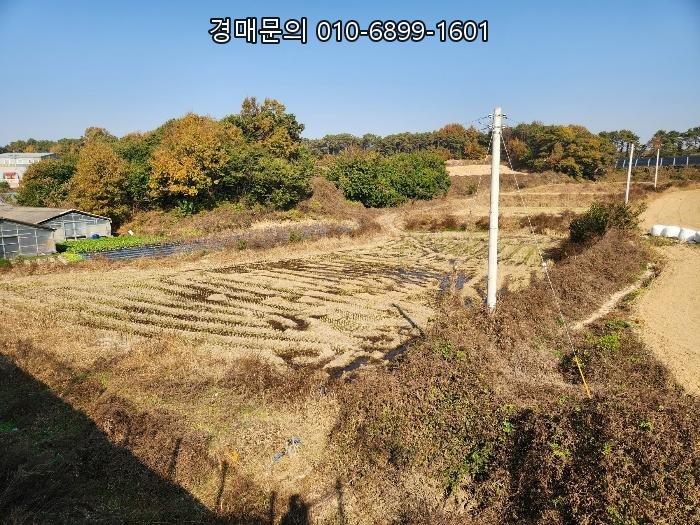  충청북도 음성군 삼성면 천평리 맹지 '답' 경매, 미래 투자 가치를 선점할 절호의 기회! 2024타경3035