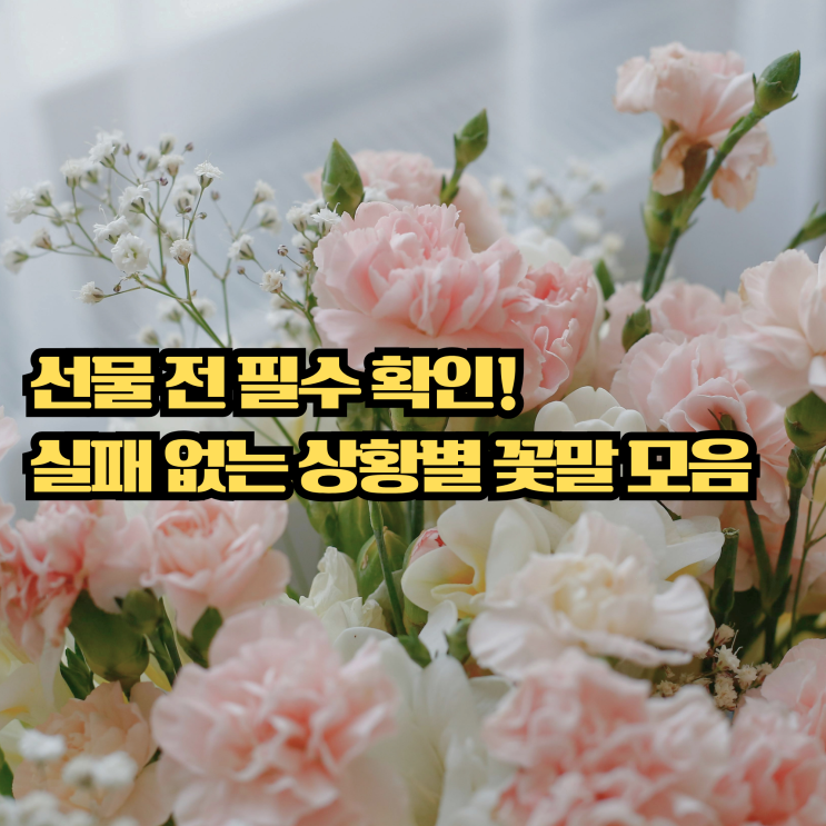  선물했다가 큰일 날 뻔? 사랑과 감사를 전하는 실패 없는 꽃말 모음 5가지