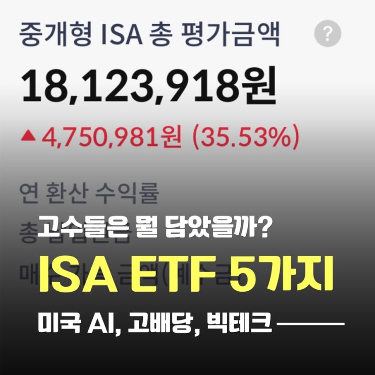  투자 고수들은 ISA 계좌에 뭘 담았나 봤더니