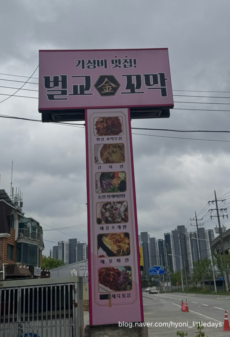 벌교금꼬막 사진 3