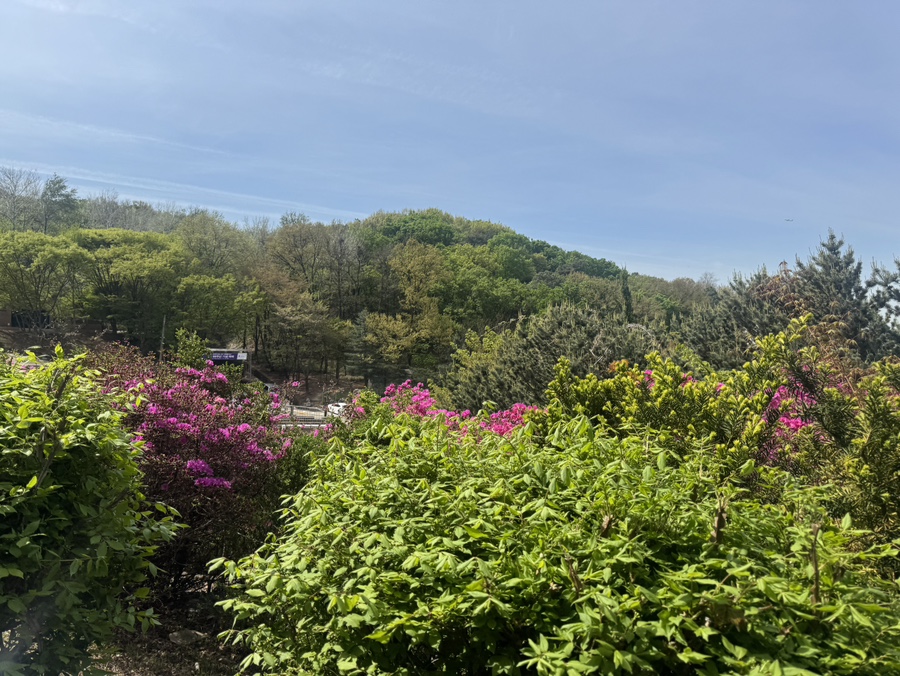 와요커피 화곡점 사진 2