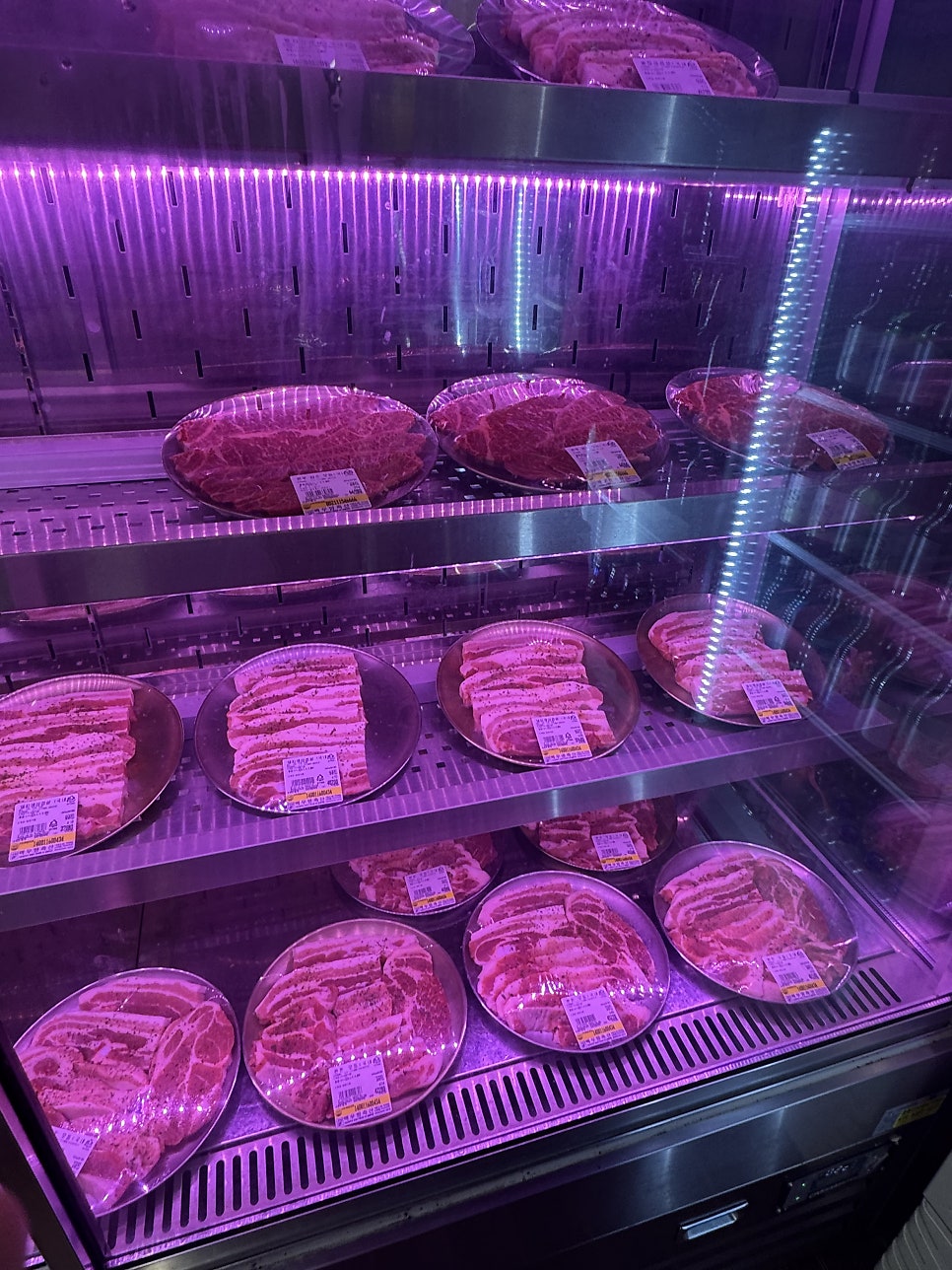 돼통령 사진 6