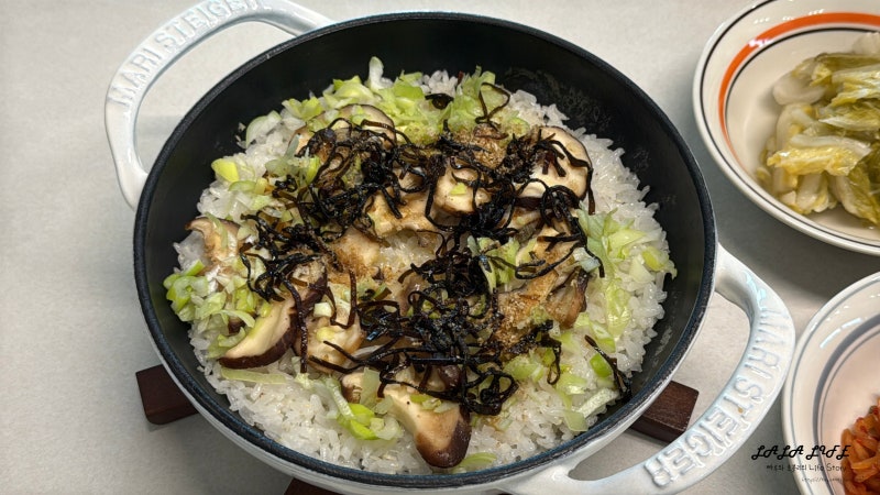 표고버섯과 다시마의 만남 감칠맛 폭발 시오콘부 버섯 솥밥 만들기