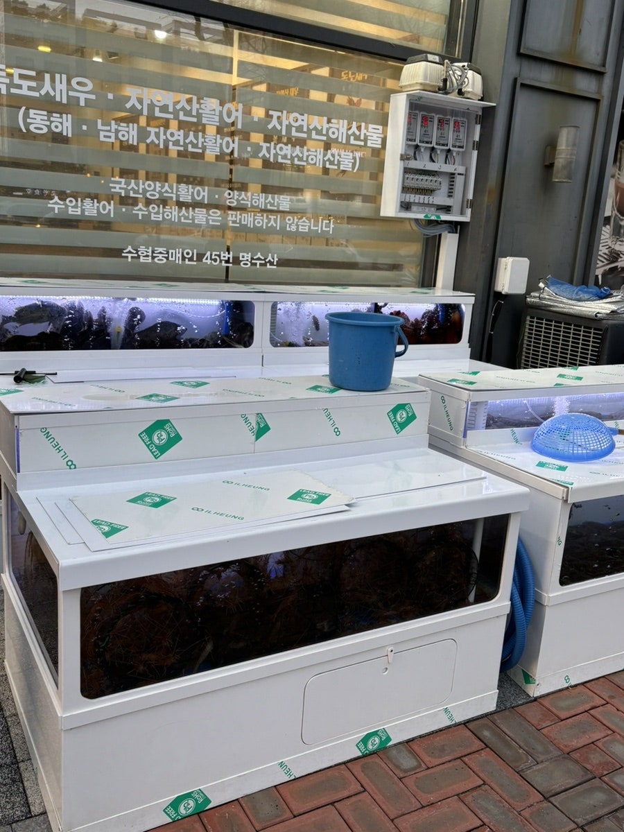 명수산 사진 3