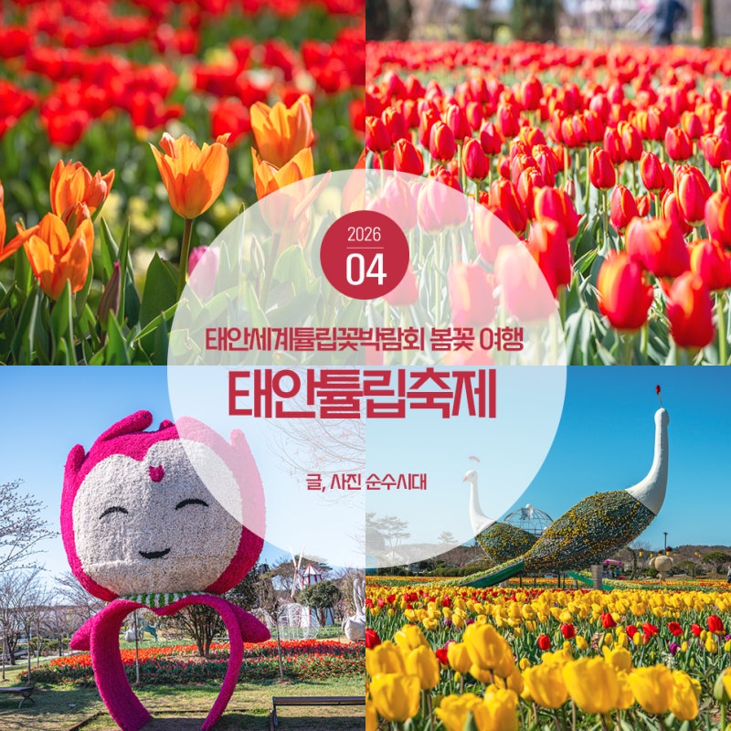 사진 6