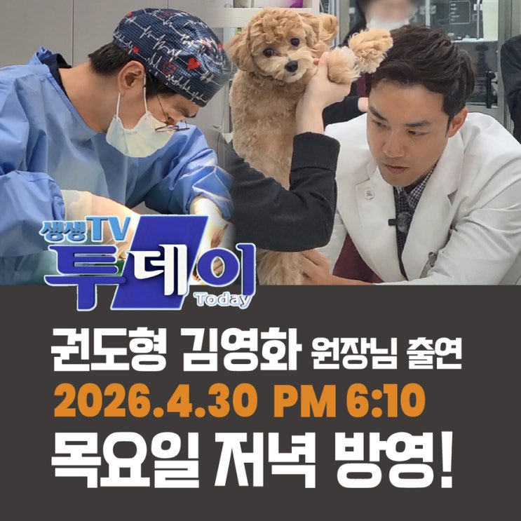  권도형 김영화 원장 KNN 생생TV투데이 출연 내일 4월 30일 목 방영합니다 부산24시동물병원