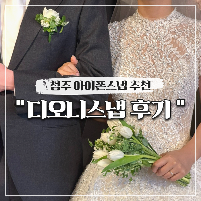  청주 아이폰스냅 추천 디오니스냅 실장님 후기 (더빈 가드니아홀)