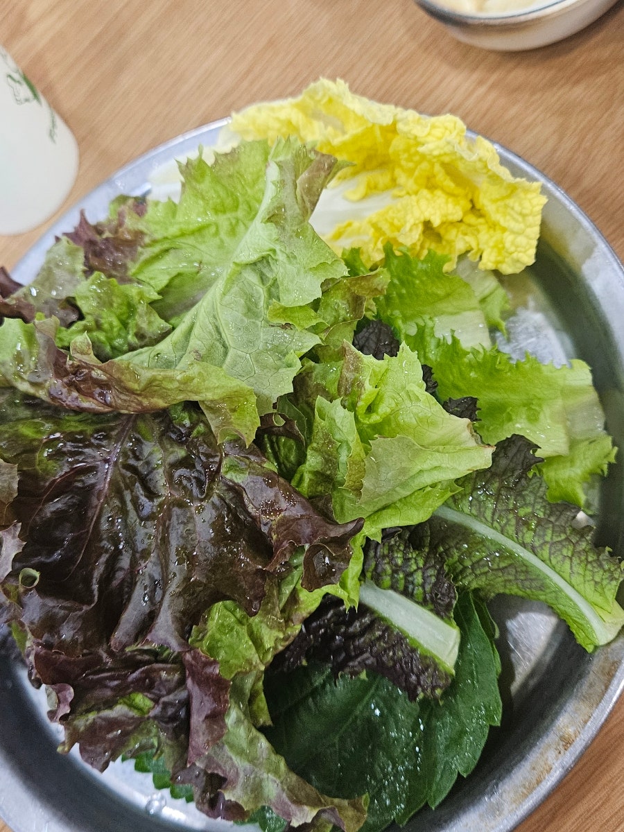 칼삼 사진 4