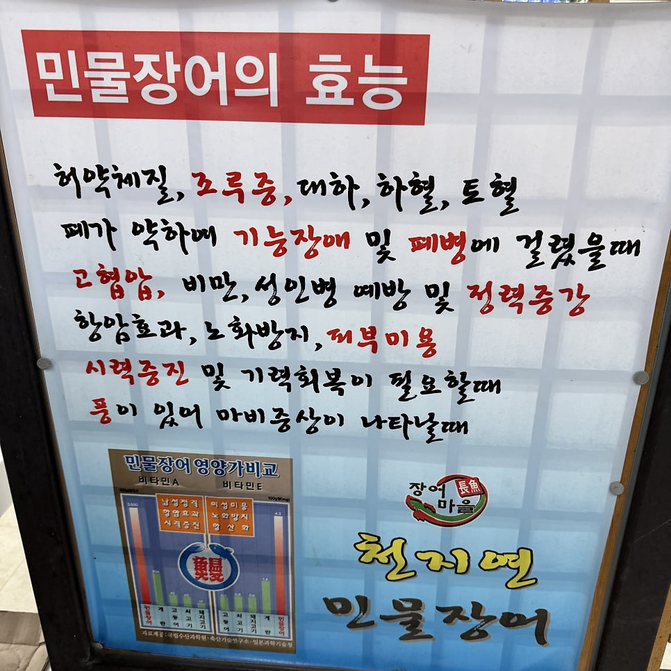 천지연민물장어 사진 2