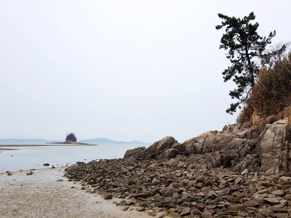 야광주도 사진 3
