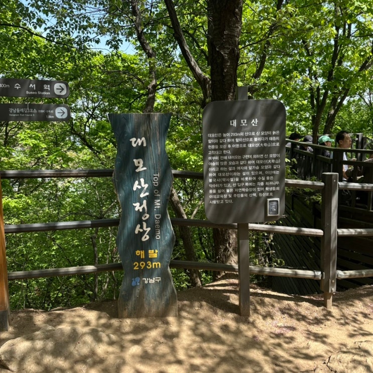  초보자 등산 코스라 해서 도전해 본 수서역 6번출구 대모산 입구부터 정상까지 해발 293m 나들이 리뷰.