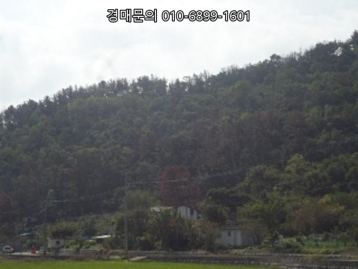  밀양시 상동면 안인리, 자연이 살아 숨 쉬는 대규모 임야 경매! 숨겨진 가치를 찾아낼 절호의 기회, 놓치지 마세요! 2024타경2451