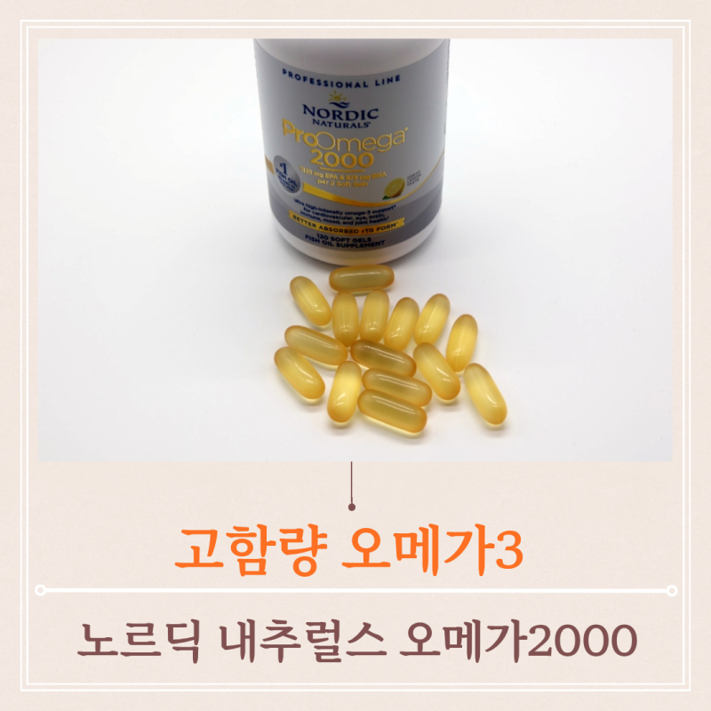 노르웨이 피쉬오일 노르딕 오메가3 내 몸 건강을 위한 프로오메가 2000