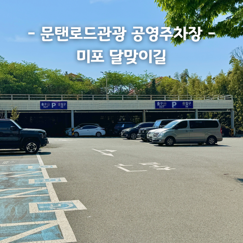 사진 2