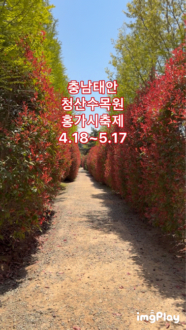 태안 가볼만한곳 청산수목원 애견동반 수목원