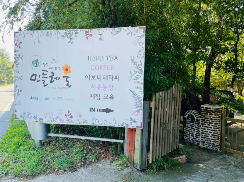 사진 7