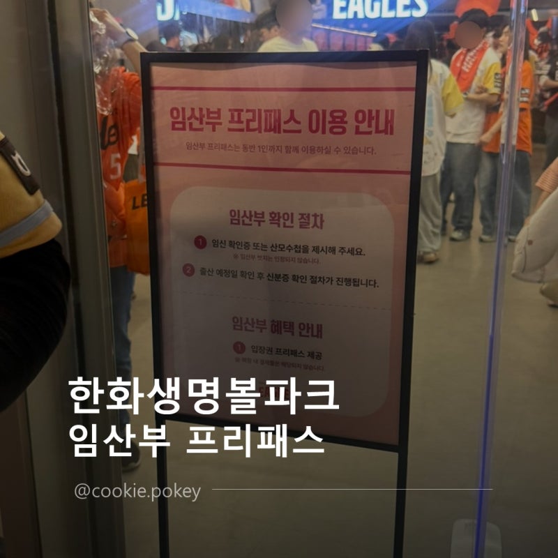 한화이글스 한화생명볼파크 야구장 임산부 프리패스+외야탁자석 시야 ⚾