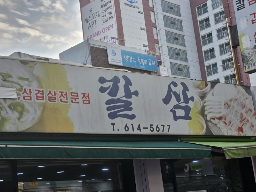 칼삼 사진 2