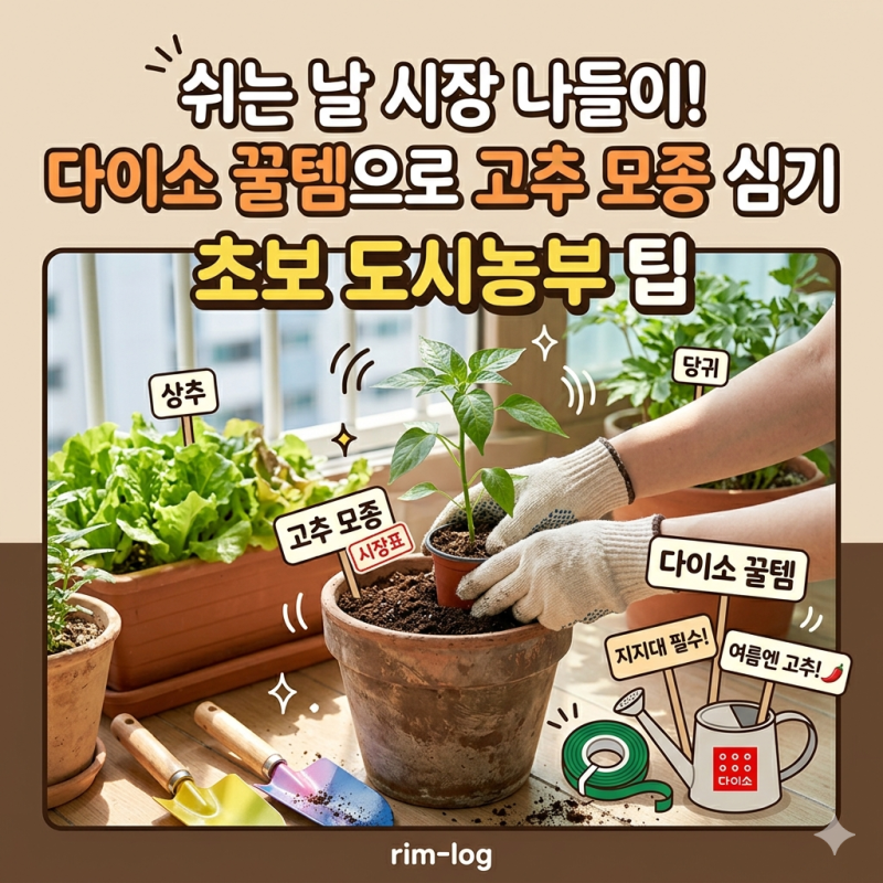 쉬는 날 시장 나들이! 다이소 꿀템으로 고추 모종 심기 (feat. 초보 서산사람농부 팁)