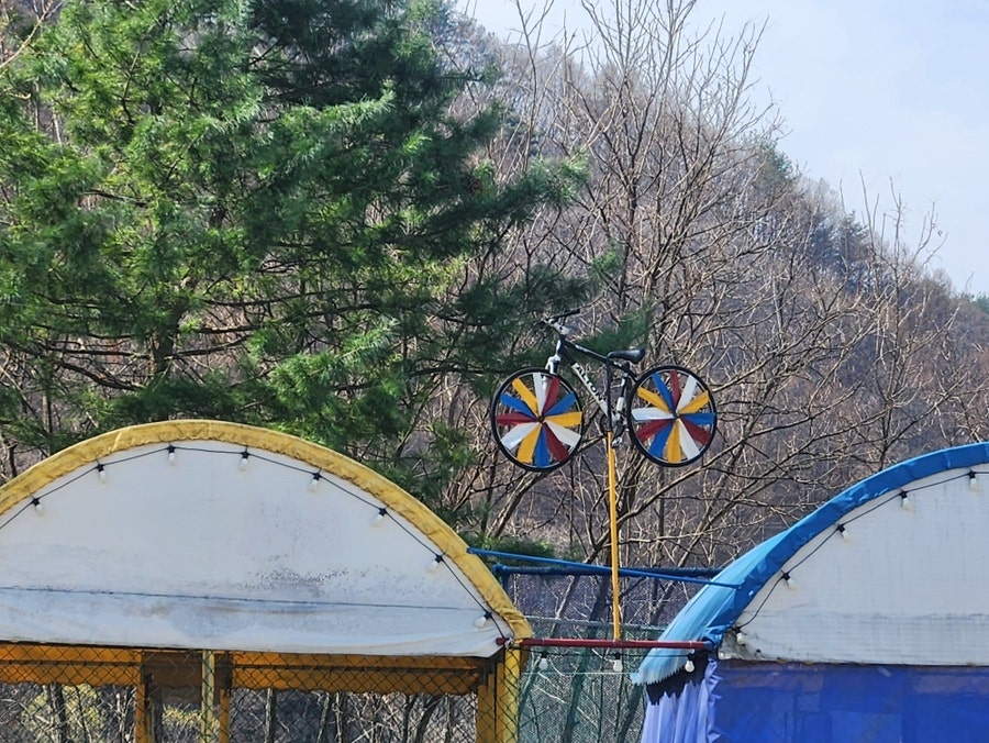 시골학교캠핑장 사진 6