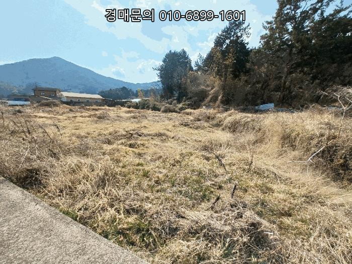  청정한 남해 바다와 함께 미래 가치를 꿈꾸는 투자처, 경상남도 남해군 창선면 광천리 833번지 대규모 토지 경매 2025타경30654