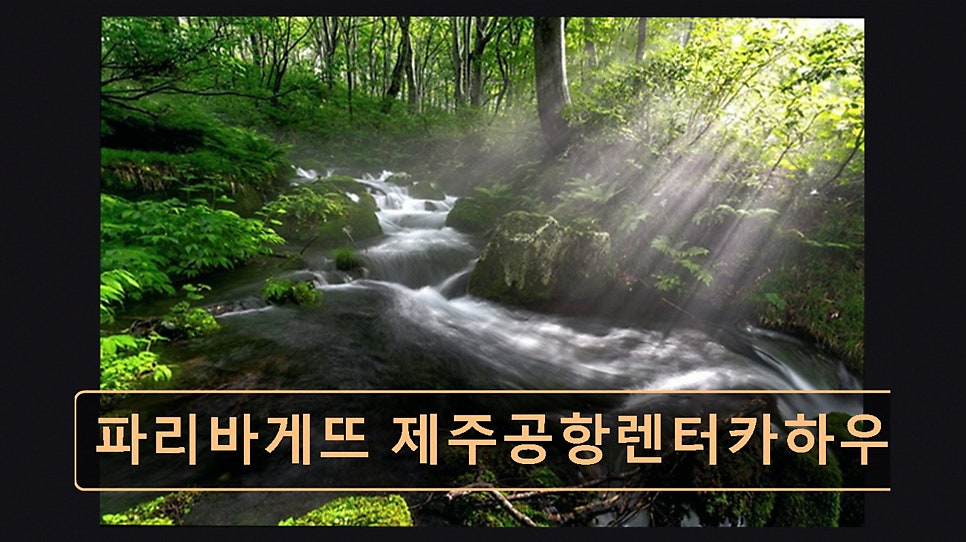 파리바게뜨 제주종합청사점 사진 5
