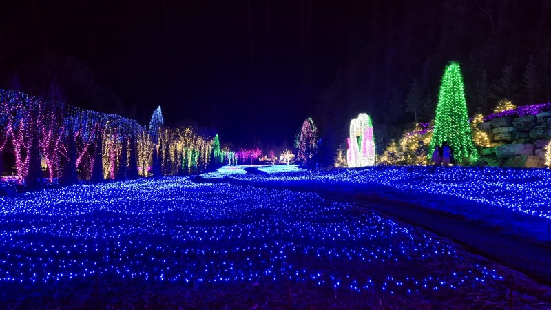 사진 6