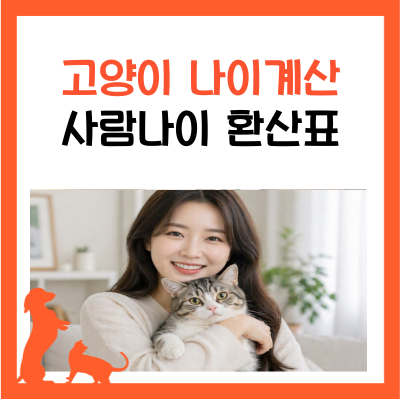고양이 나이 계산기 사람 나이 환산 시 몇 살? 고양이 나이표