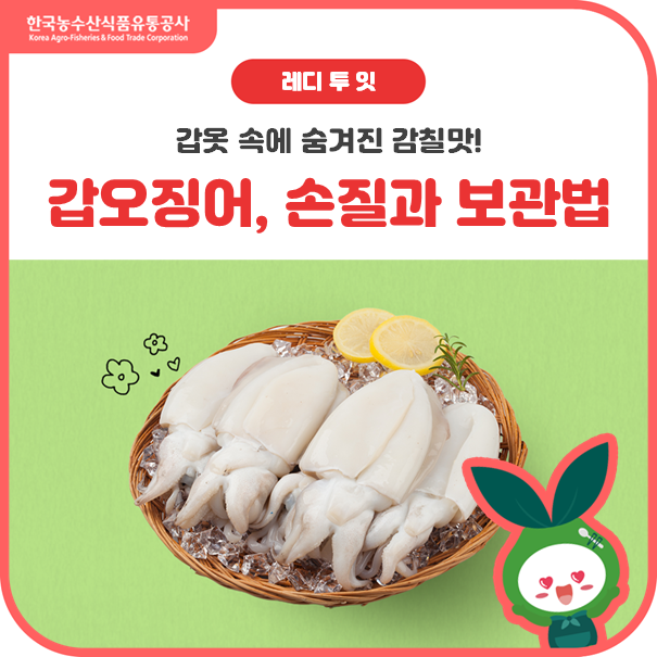 두툼하고 쫄깃한 식감갑오징어 손질부터 보관까지 한 번에!