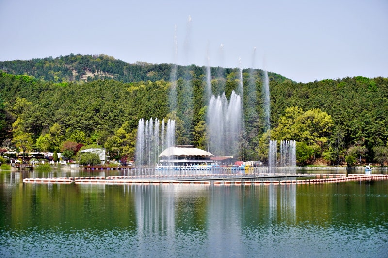 사진 7