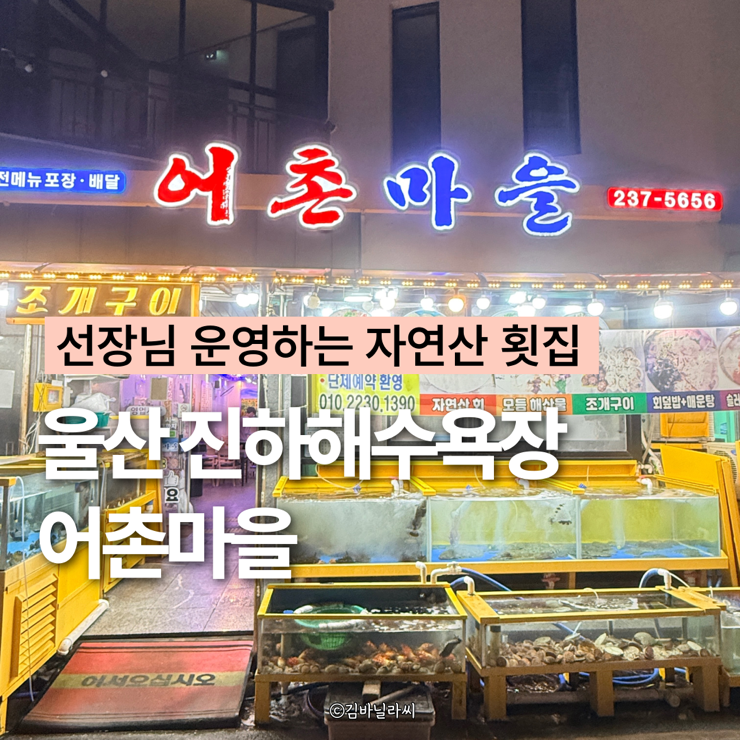  울산 서생 맛집 어촌마을 진하해수욕장 명선교 앞 선장님 자연산 횟집