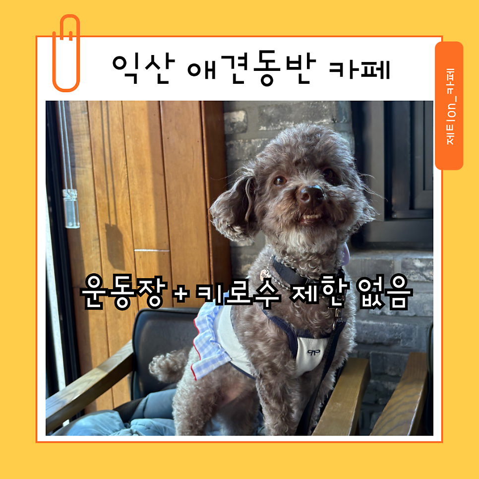 허니비 사진 1