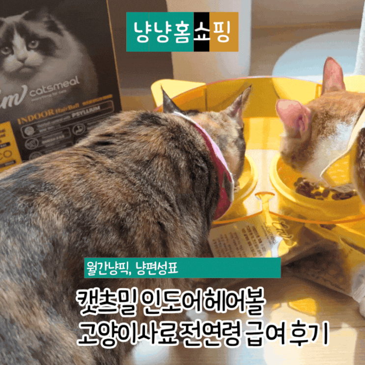  캣츠밀 인도어 헤어볼 고양이사료 전연령 급여 후기