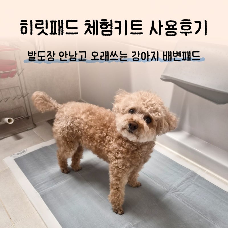 히릿패드 위랩패드 체험키트 사용 후기-발도장 안남는 반려동물 배변패드 추천